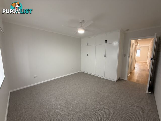 3 8 Lowanna Street WODONGA VIC 3690