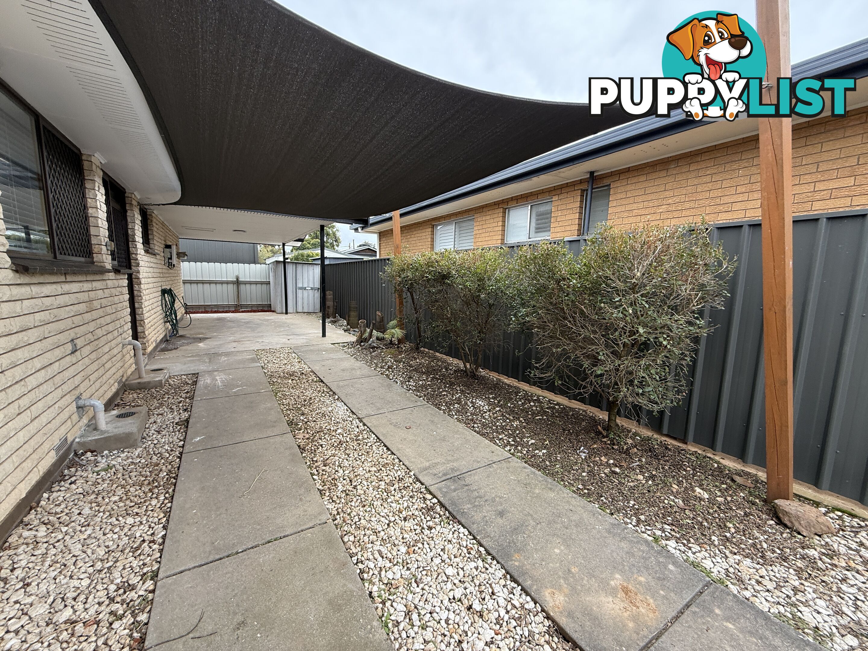 3 8 Lowanna Street WODONGA VIC 3690
