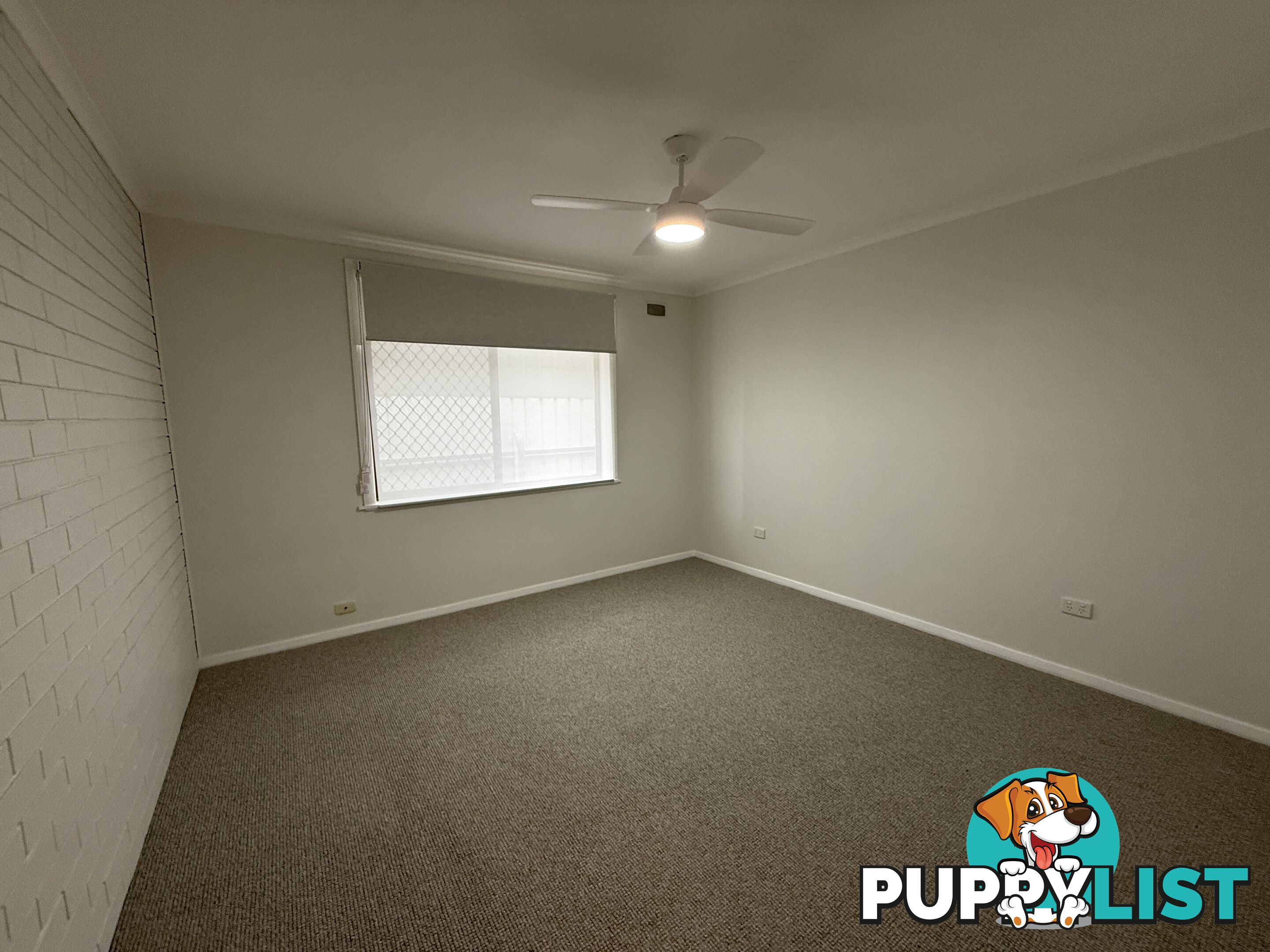 3 8 Lowanna Street WODONGA VIC 3690