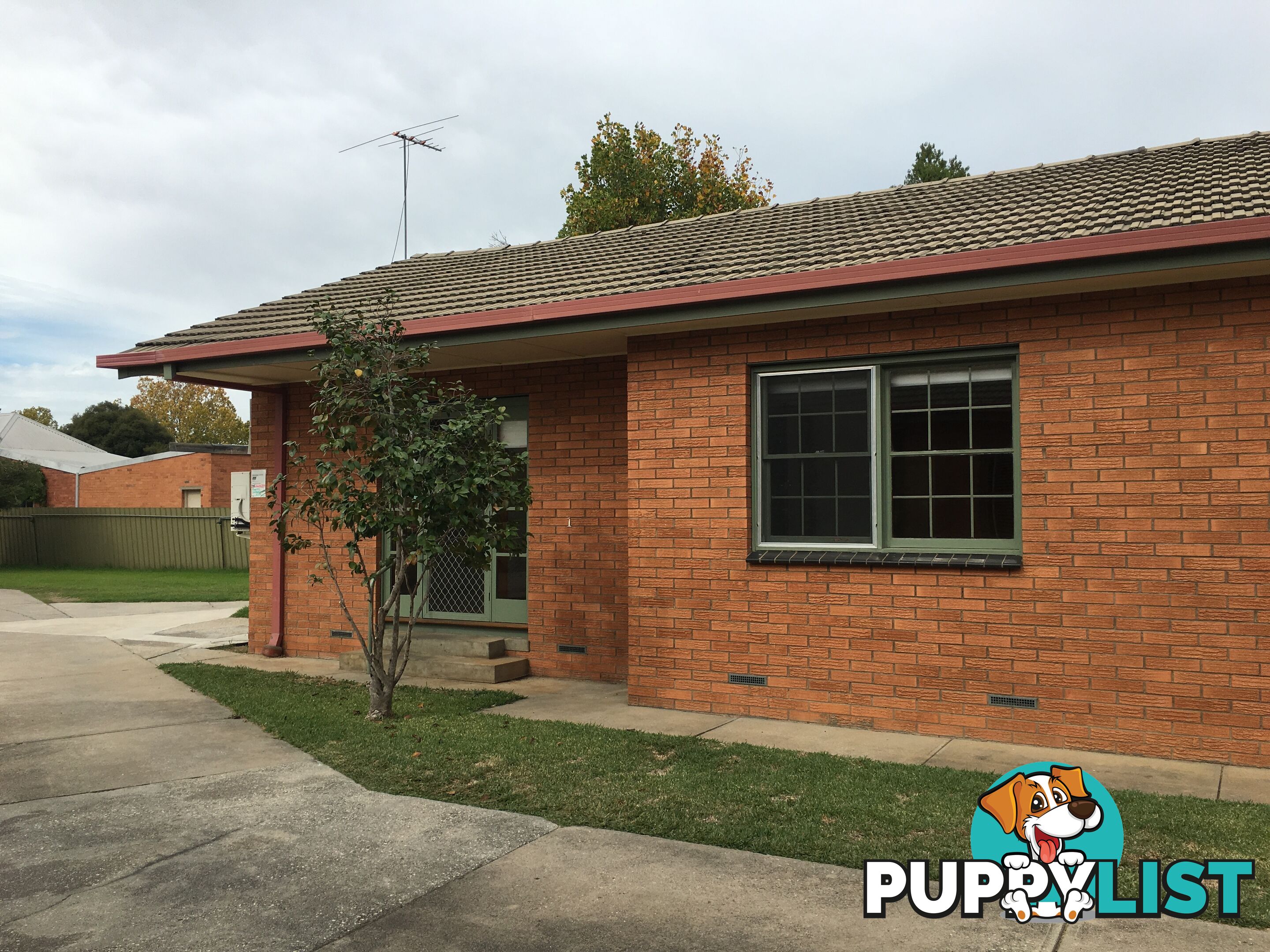 1 611 Olive Street ALBURY NSW 2640