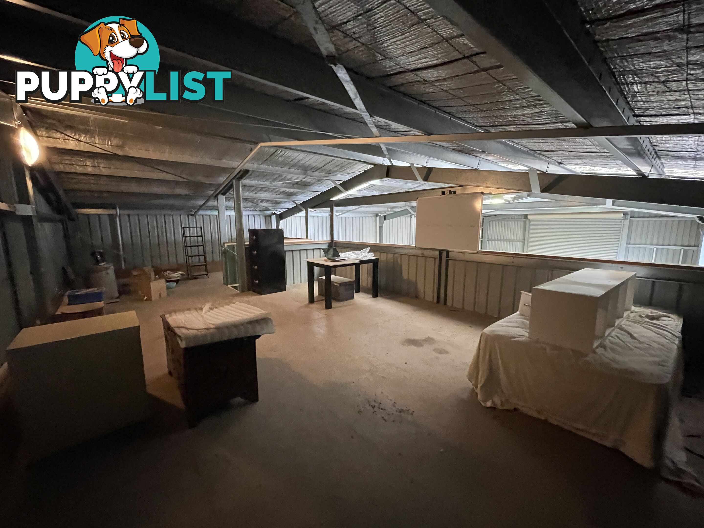 3 22 Annette Crescent LAVINGTON NSW 2641