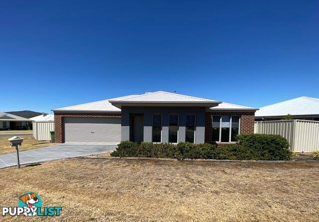 14 Fay Street HAMILTON VALLEY NSW 2641