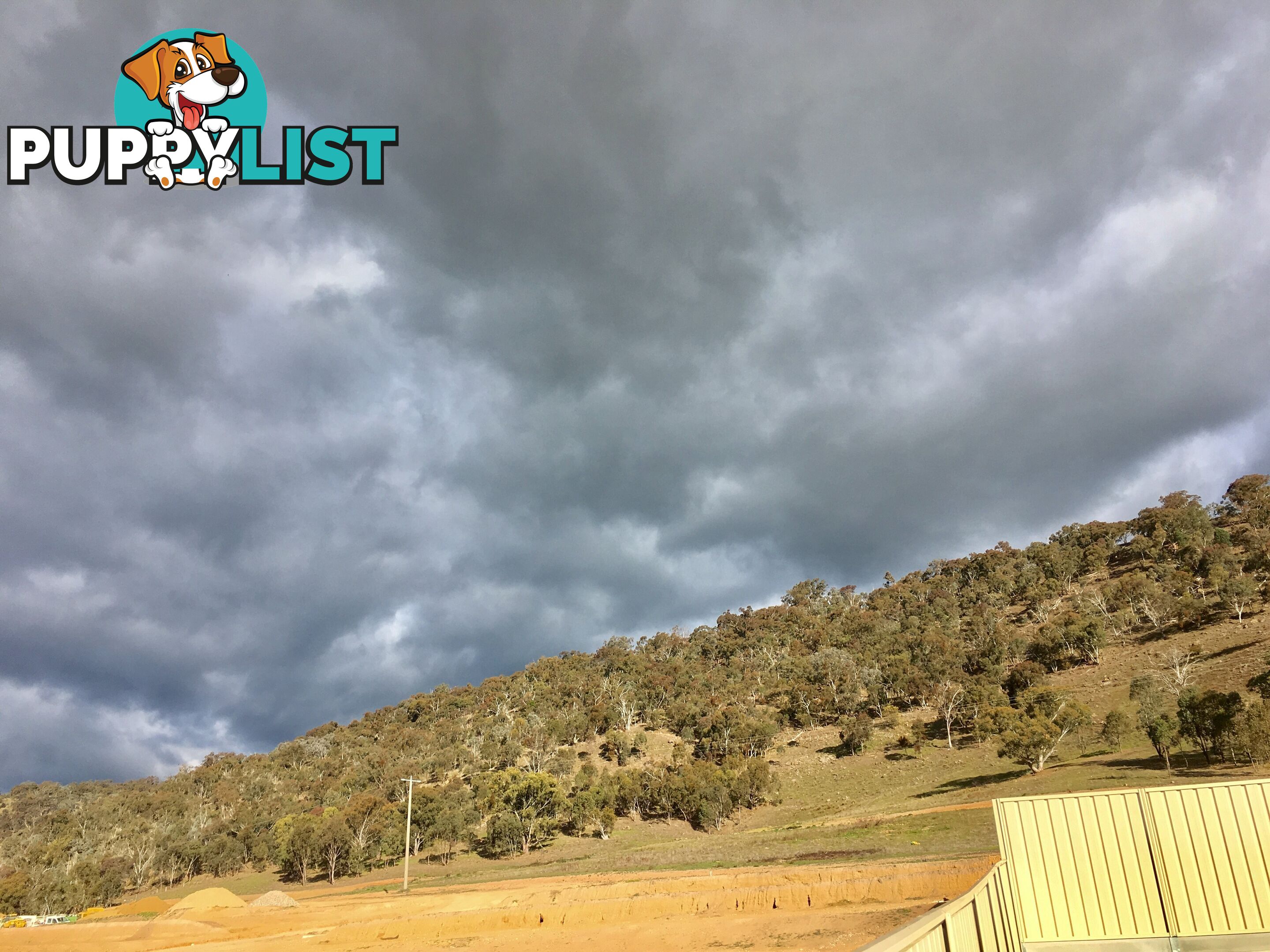 45 Rogers Avenue WODONGA VIC 3690