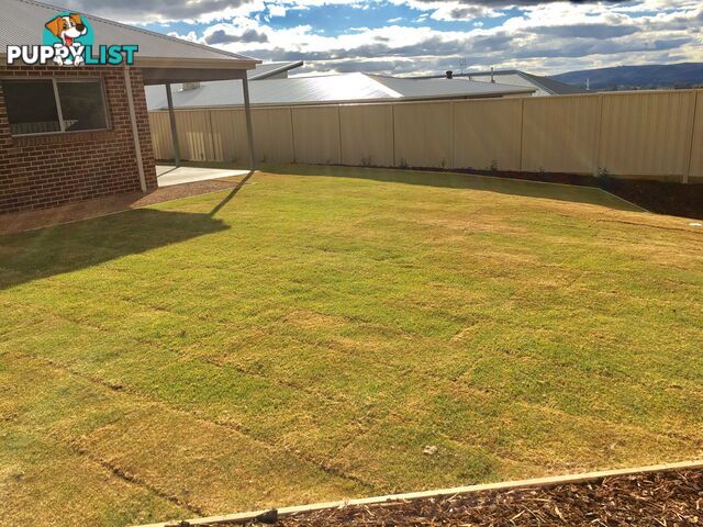 45 Rogers Avenue WODONGA VIC 3690