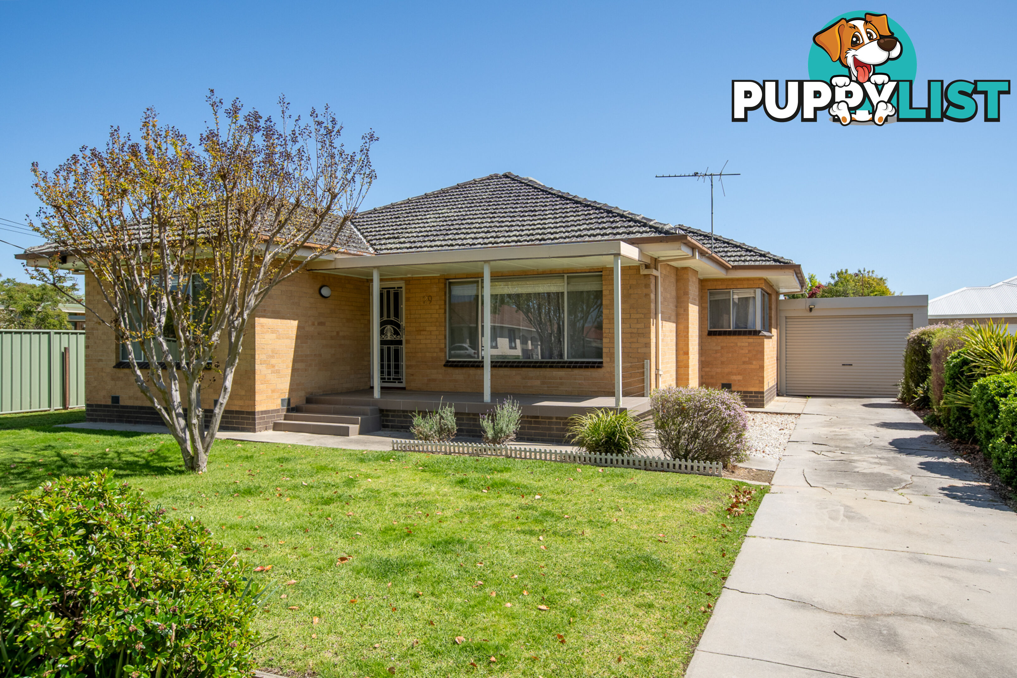 29 Charles Street WODONGA VIC 3690