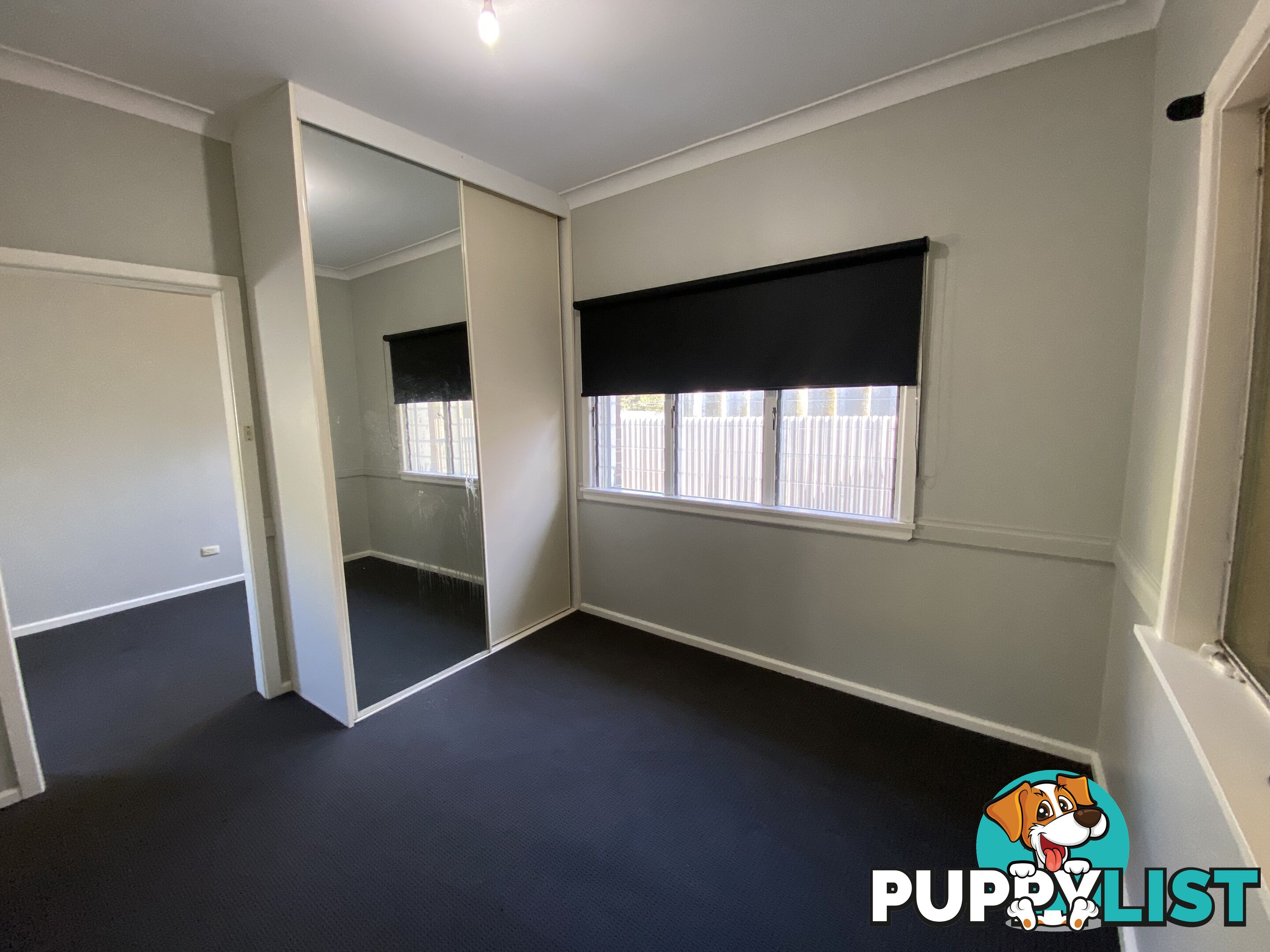 1 461 Douglas Road LAVINGTON NSW 2641