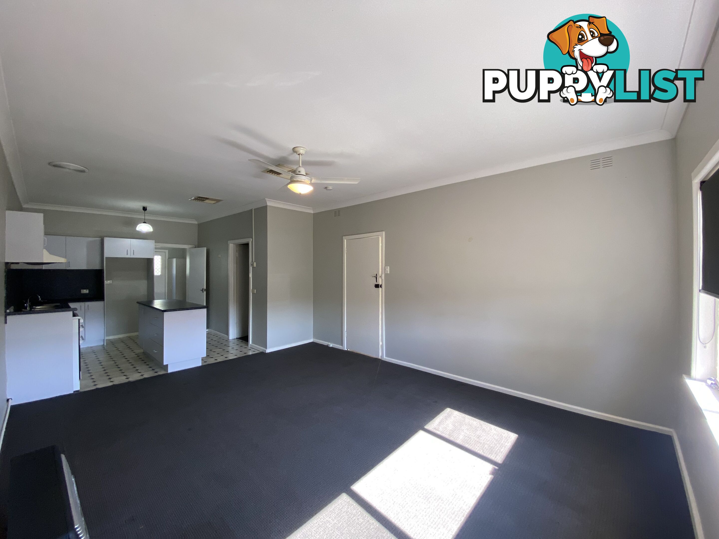 1 461 Douglas Road LAVINGTON NSW 2641
