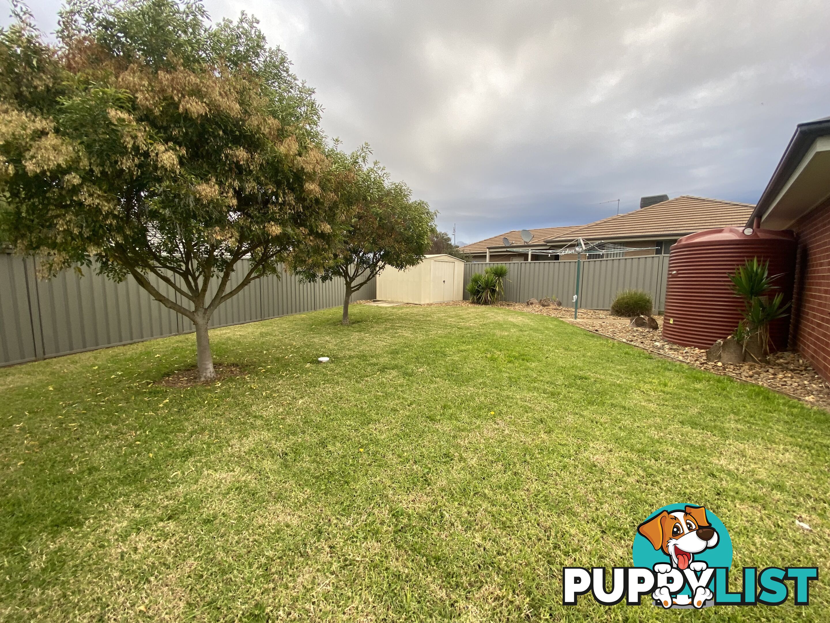 56 Egret Way THURGOONA NSW 2640