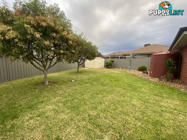 56 Egret Way THURGOONA NSW 2640