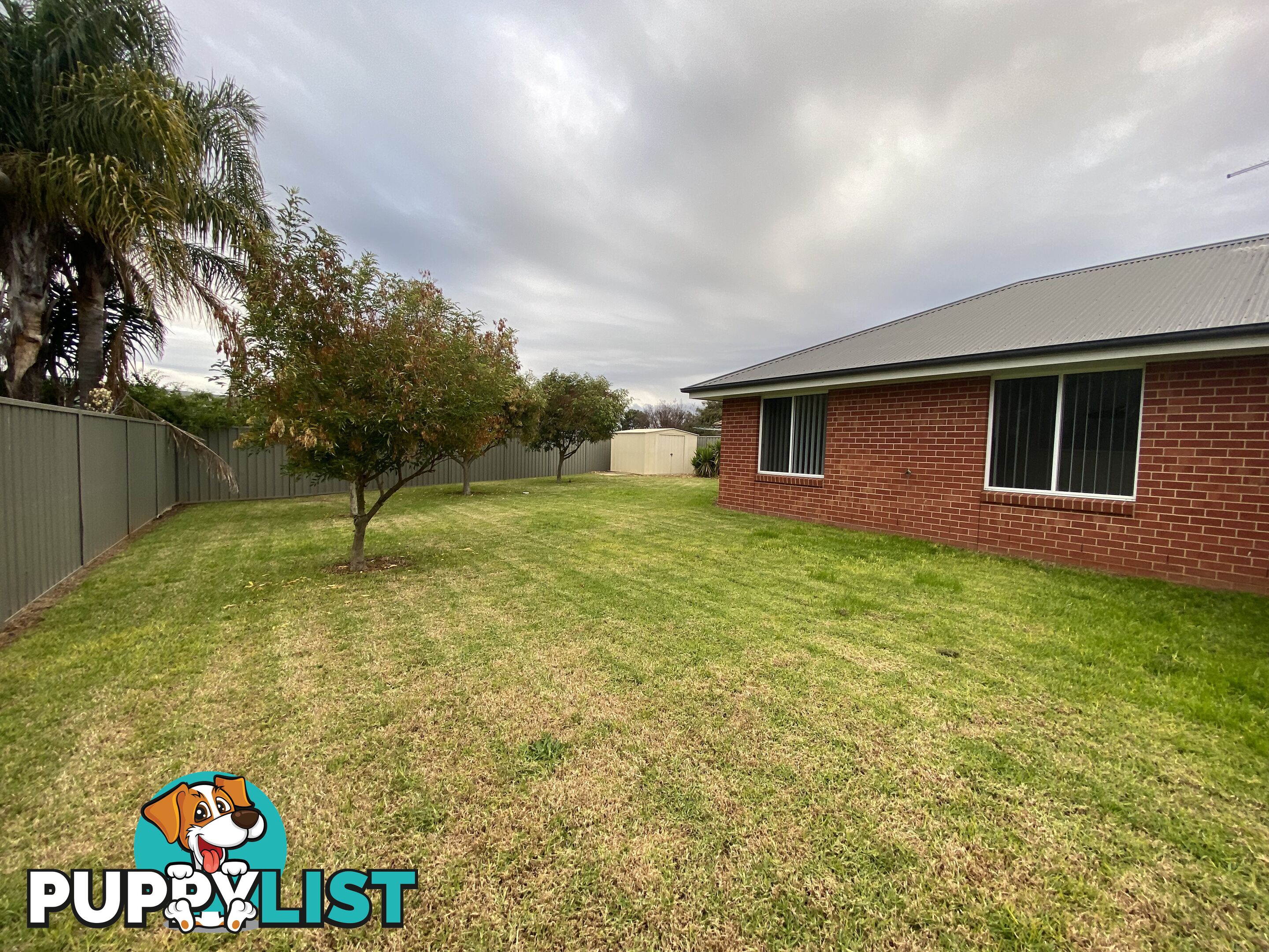 56 Egret Way THURGOONA NSW 2640