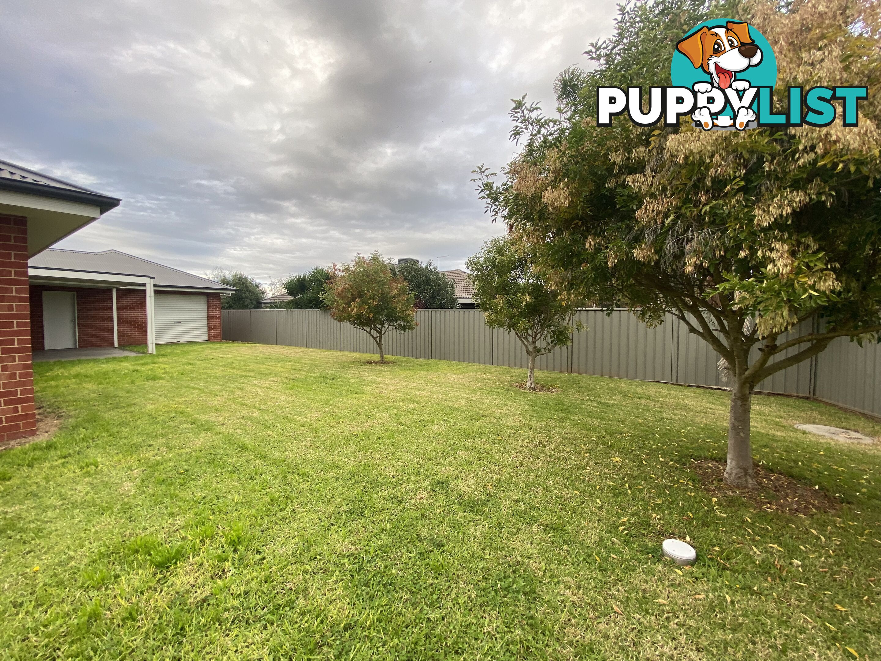 56 Egret Way THURGOONA NSW 2640