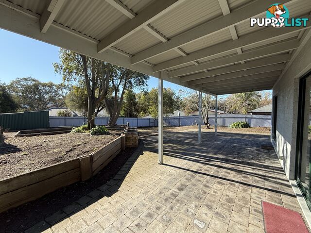 672 Centaur Road LAVINGTON NSW 2641
