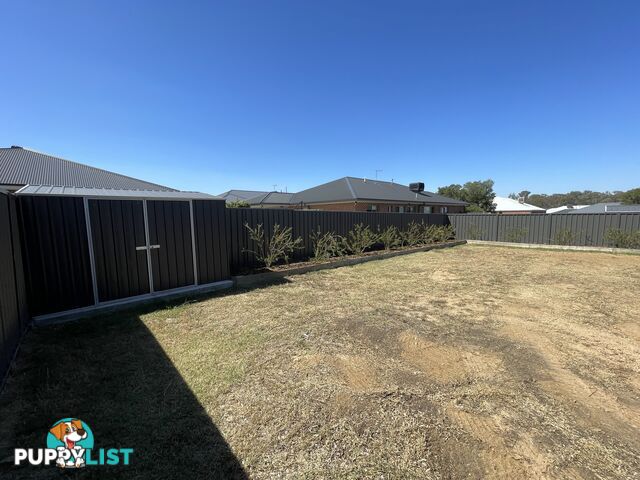 6 Michaelis Court THURGOONA NSW 2640