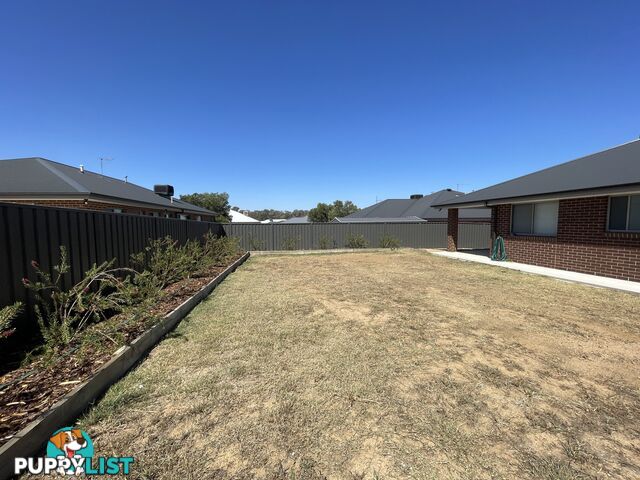 6 Michaelis Court THURGOONA NSW 2640