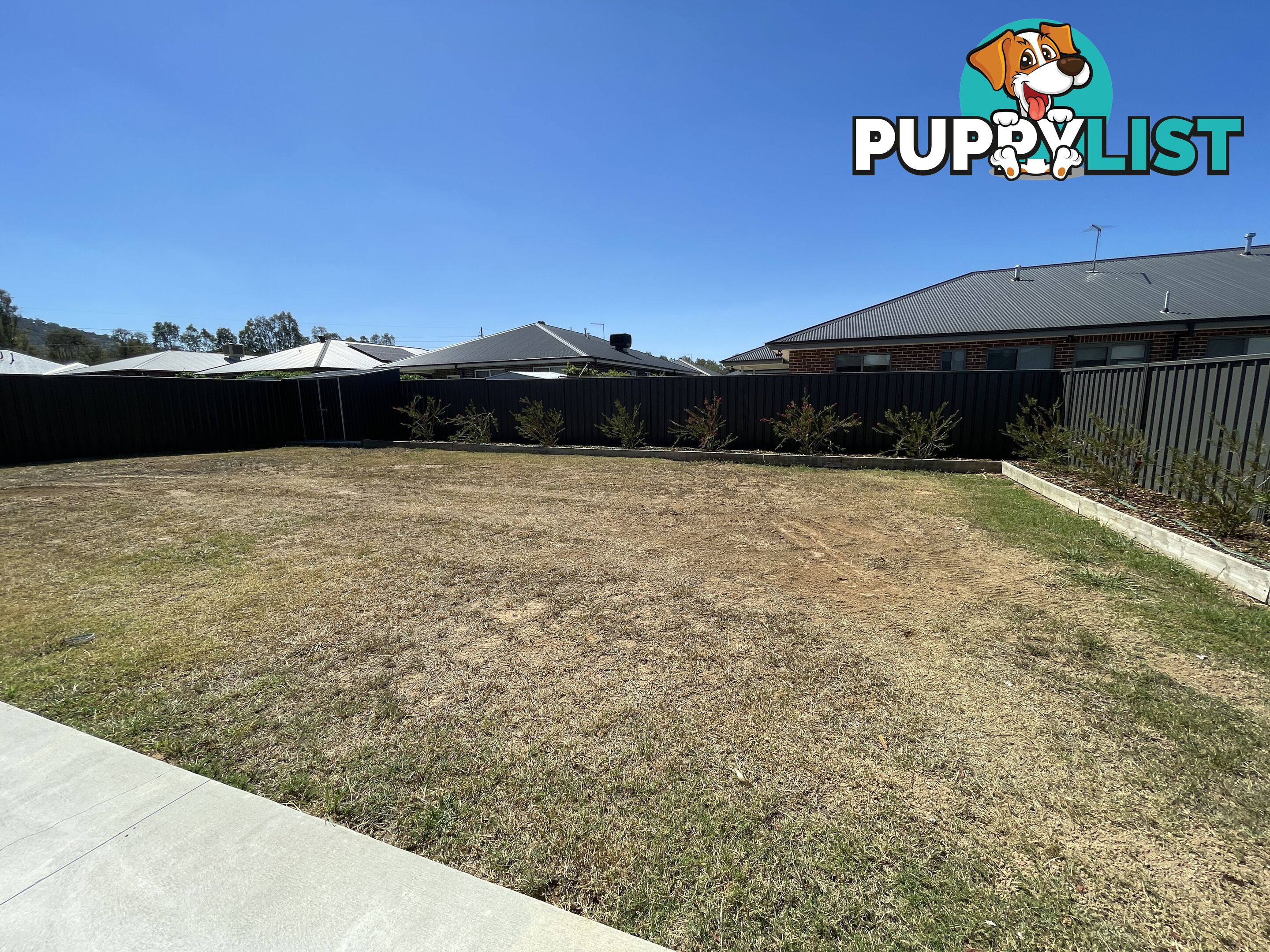 6 Michaelis Court THURGOONA NSW 2640