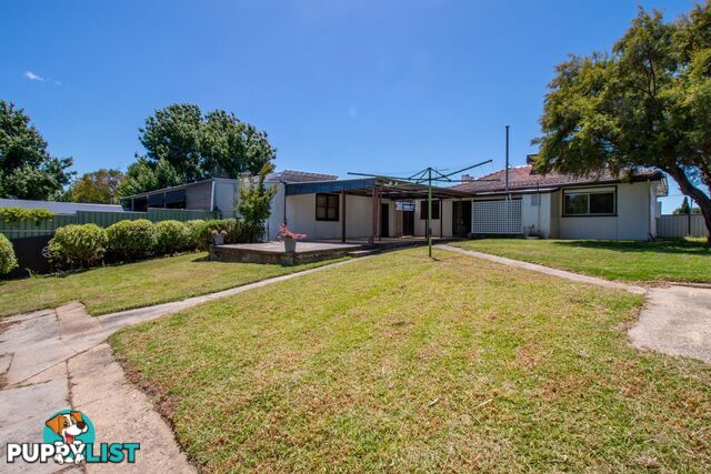 1079 Alemein Avenue NORTH ALBURY NSW 2640