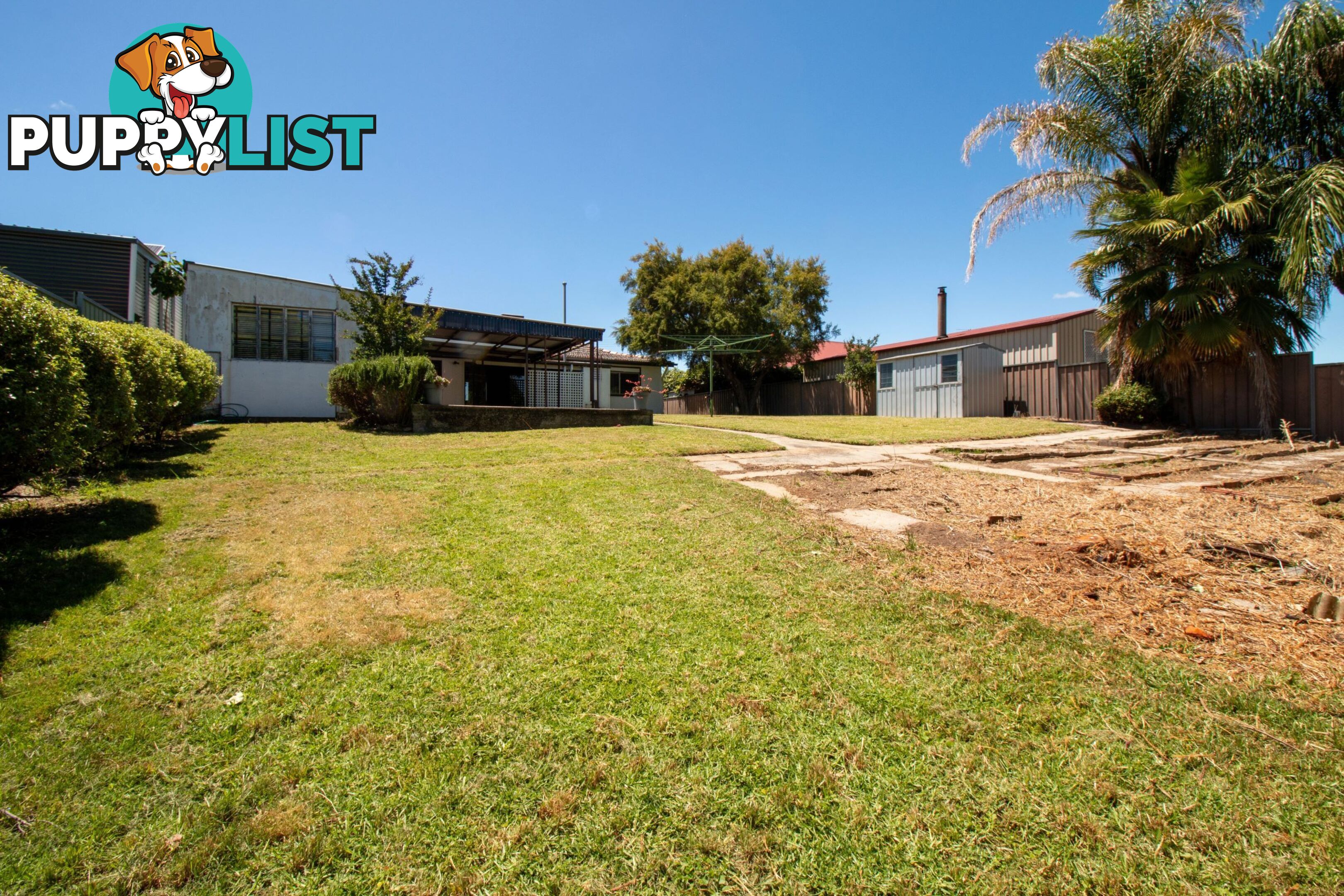 1079 Alemein Avenue NORTH ALBURY NSW 2640