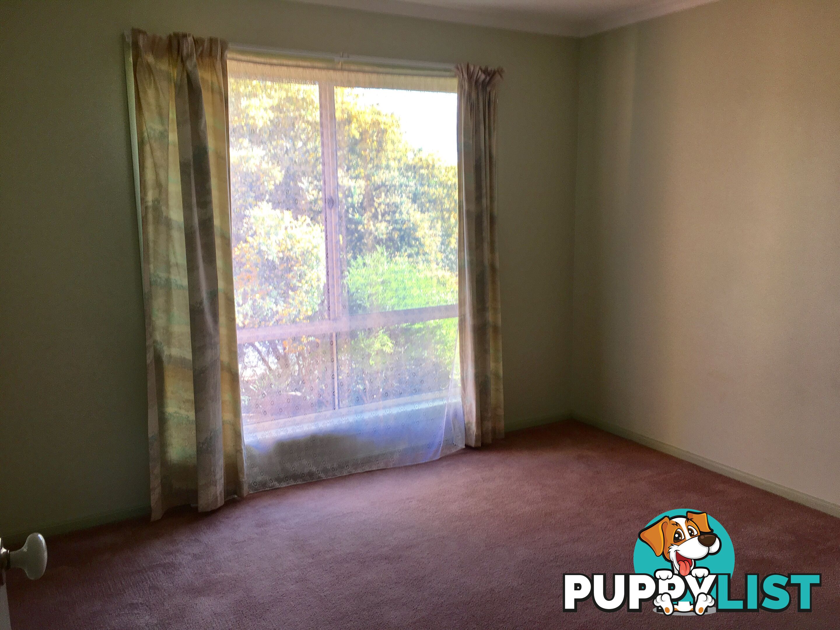 2a Lightwood Drive WODONGA VIC 3690