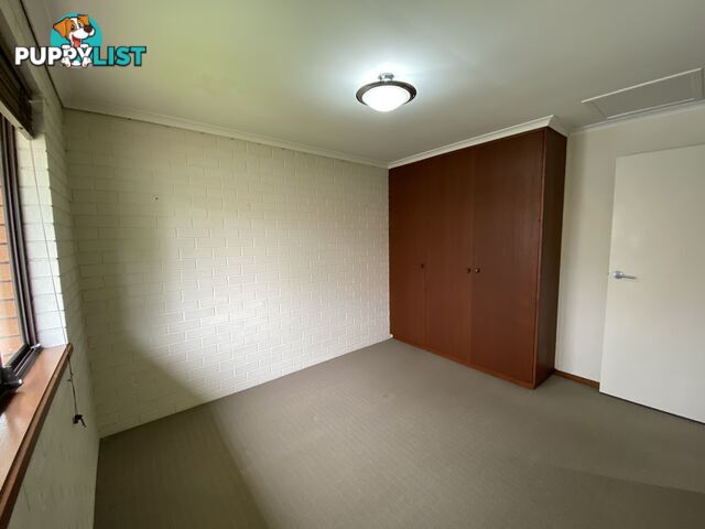 2 414 Bevan Street LAVINGTON NSW 2641