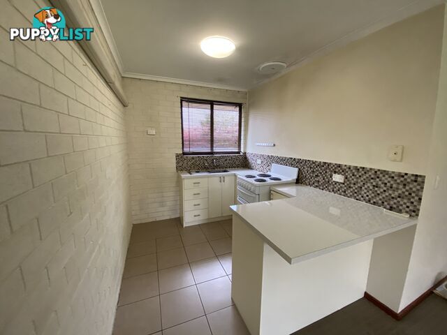 2 414 Bevan Street LAVINGTON NSW 2641