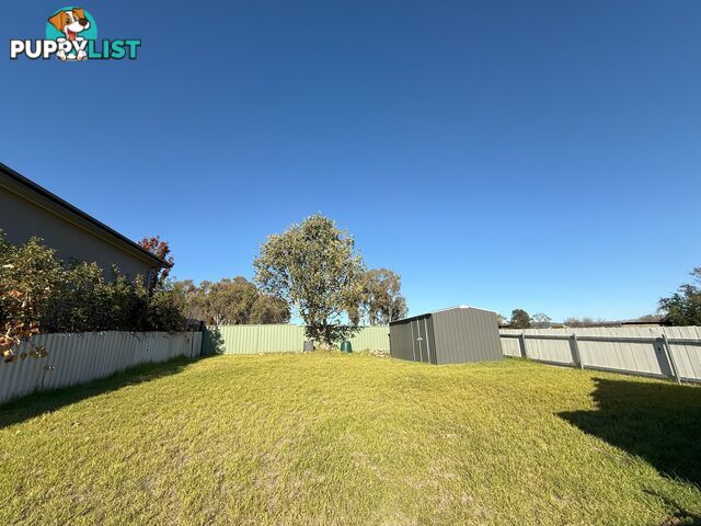 929 Padman Drive WEST ALBURY NSW 2640