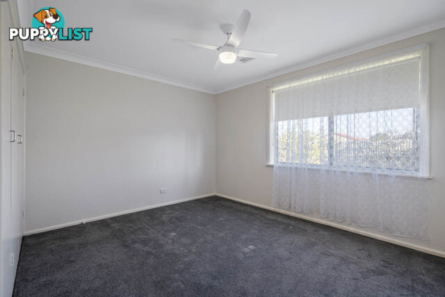 436 Douglas Road LAVINGTON NSW 2641