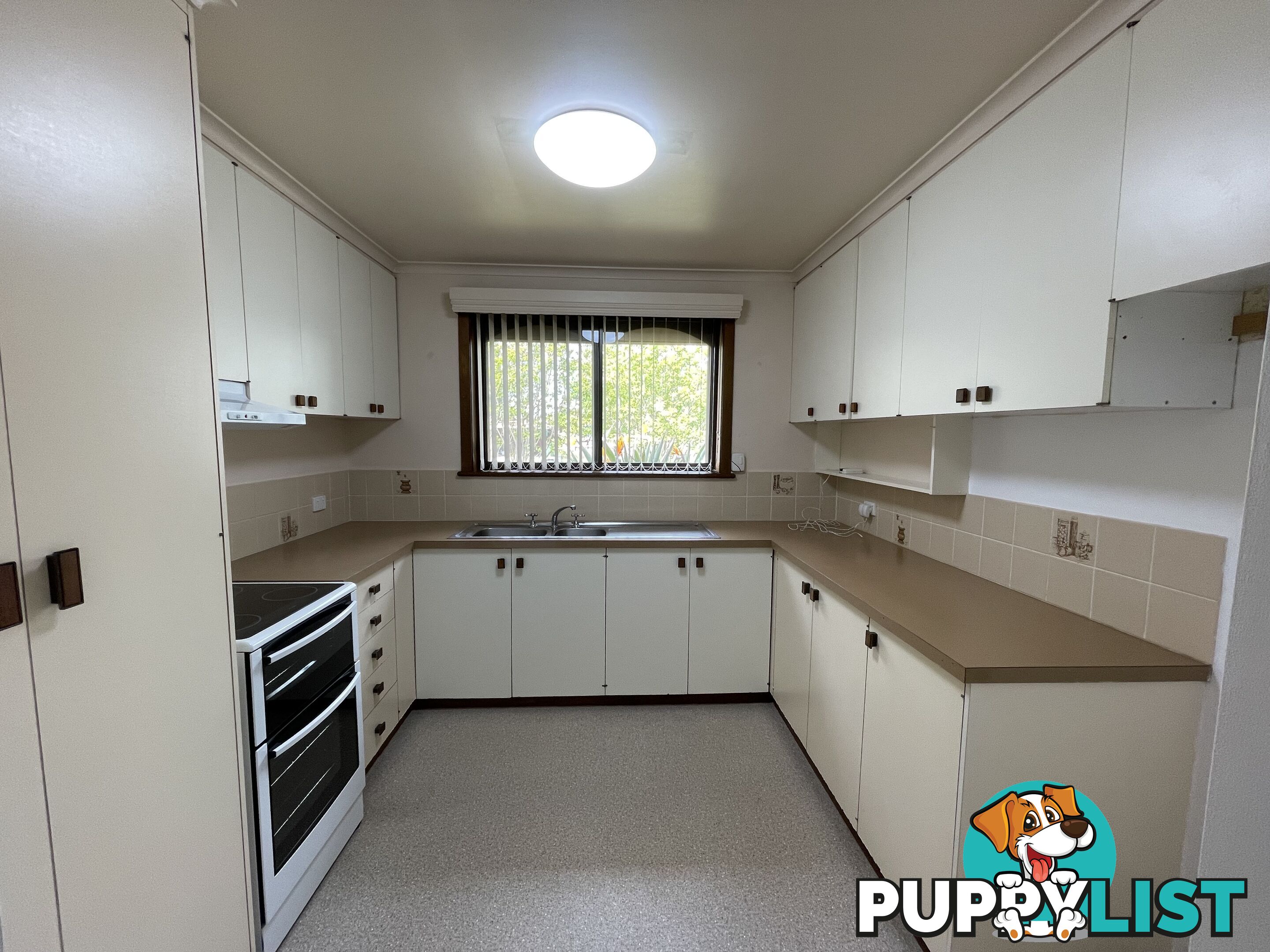 1 411E Ross Circuit LAVINGTON NSW 2641