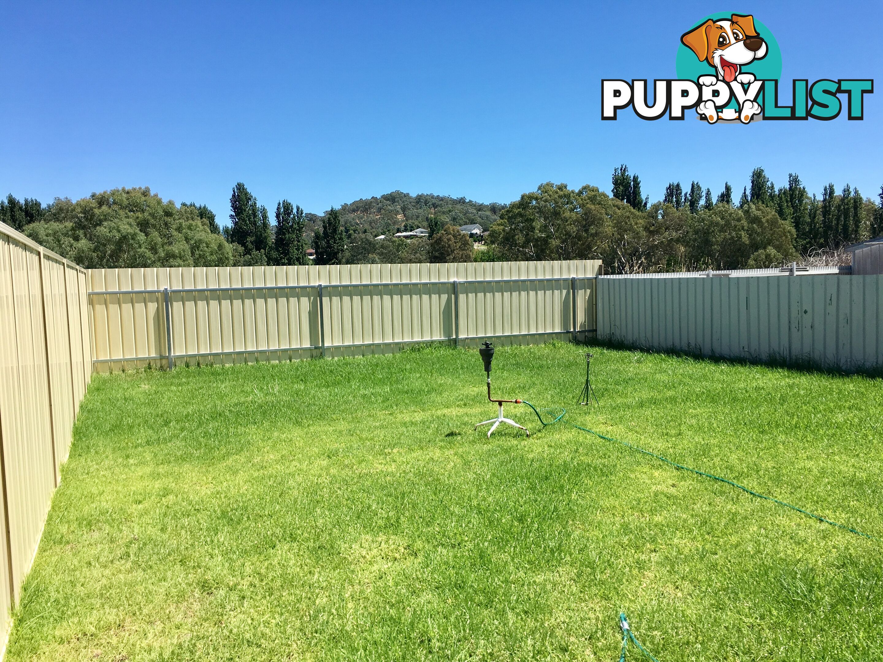 461 Urana Road LAVINGTON NSW 2641