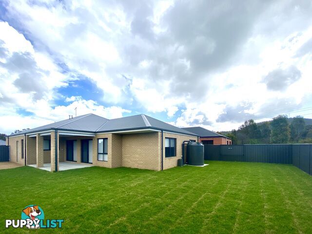 8 Stassen Court THURGOONA NSW 2640