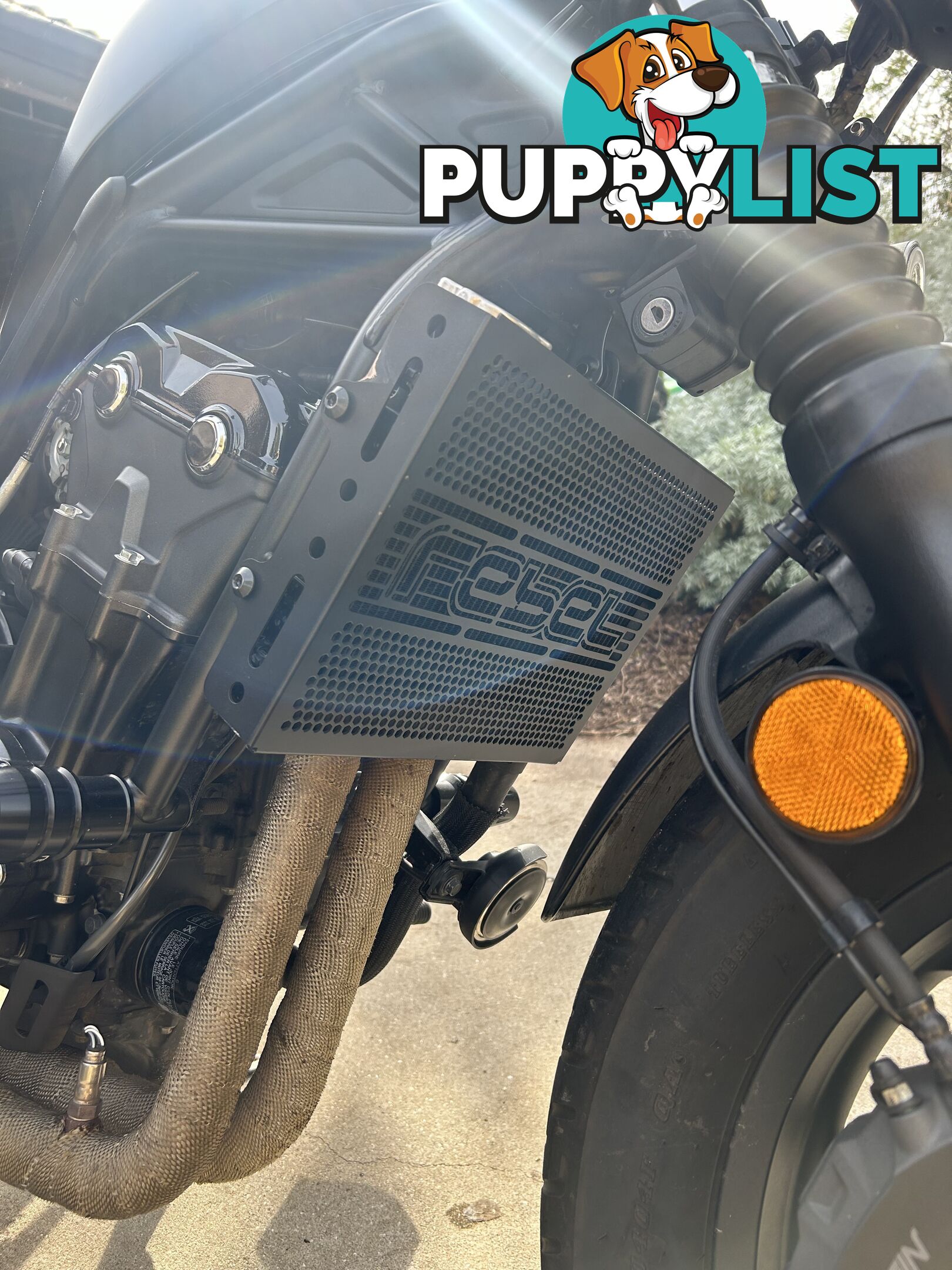 2020 Honda CMX500