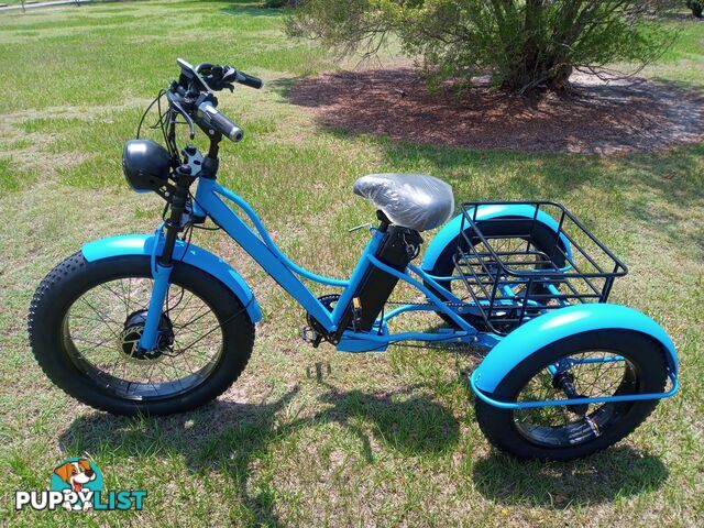 New Safeway Fat Tyre Folding Electric Bikes