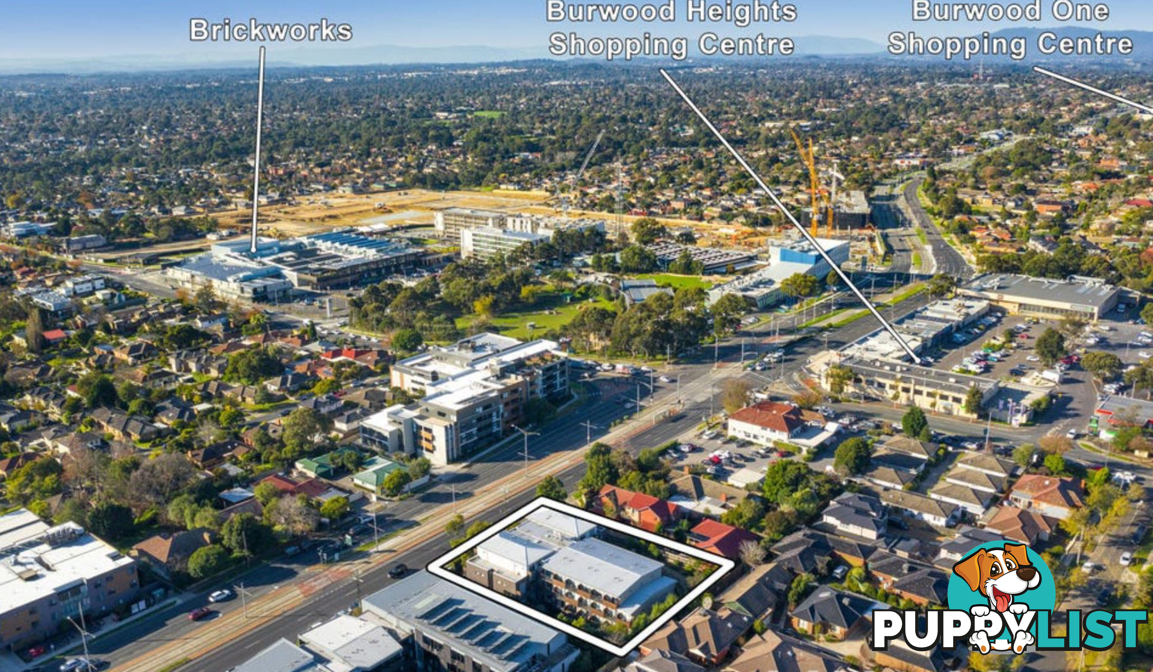 66/388 Burwood Highway Burwood VIC 3125