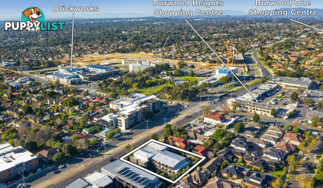 66/388 Burwood Highway Burwood VIC 3125