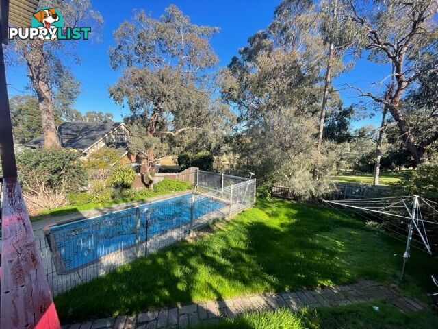 50 Boronia Grove Doncaster East VIC 3109