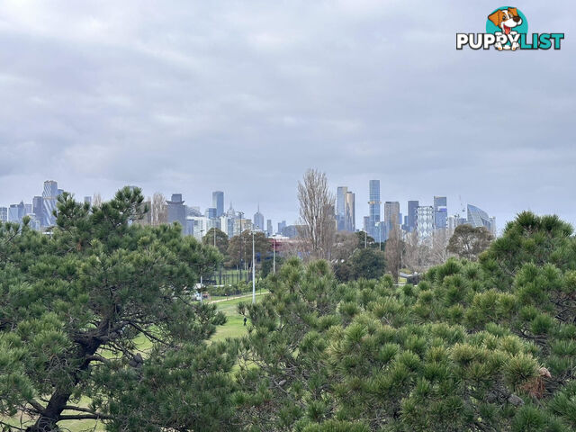 9/343 Williamstown Road Port Melbourne VIC 3207