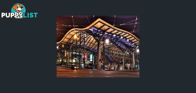 1015/601 Little Collins St Street Melbourne VIC 3004