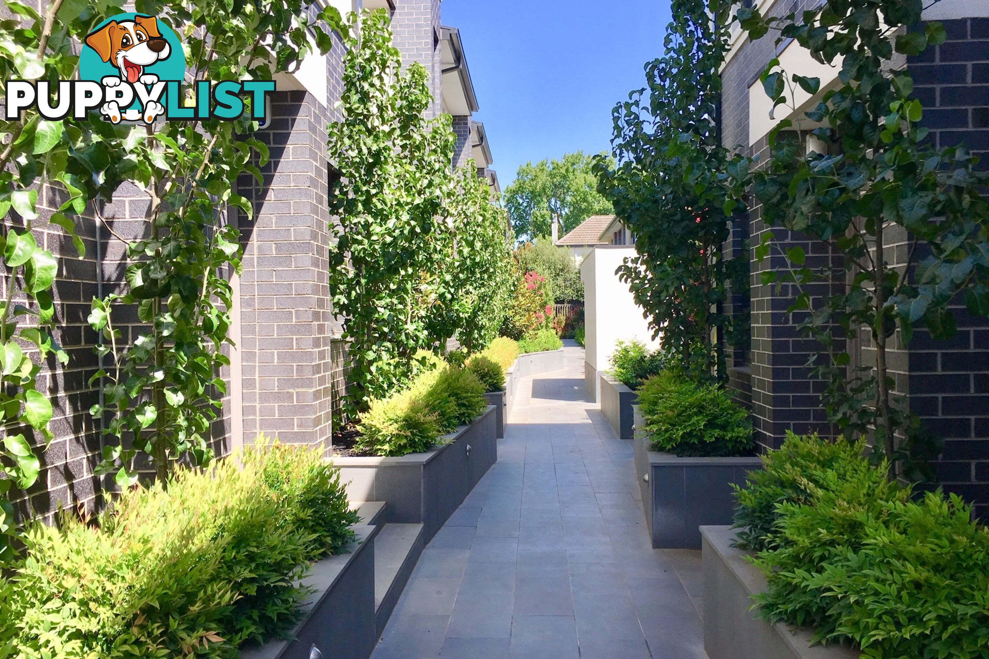 2/5-7 Cecil Street Kew VIC 3101