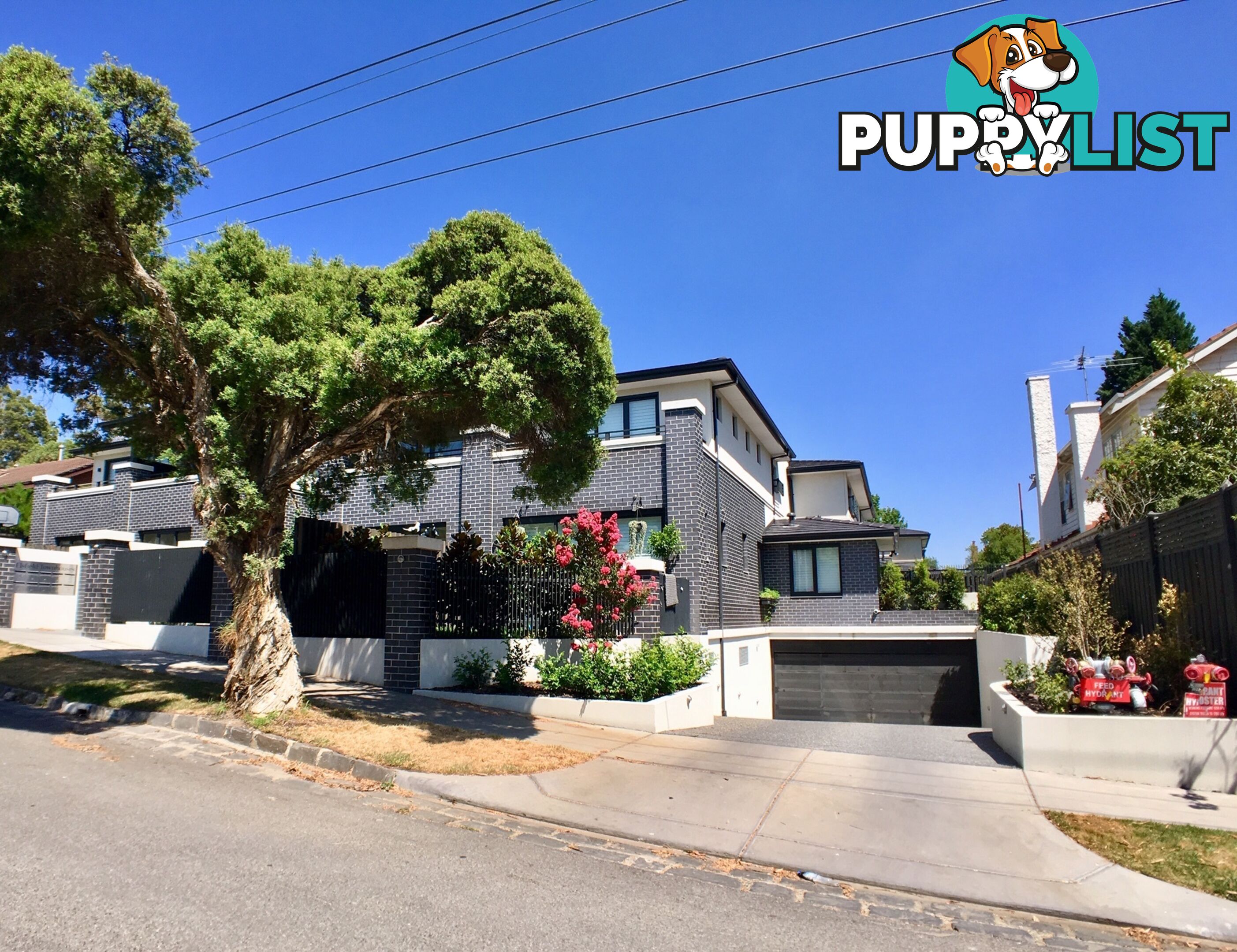2/5-7 Cecil Street Kew VIC 3101
