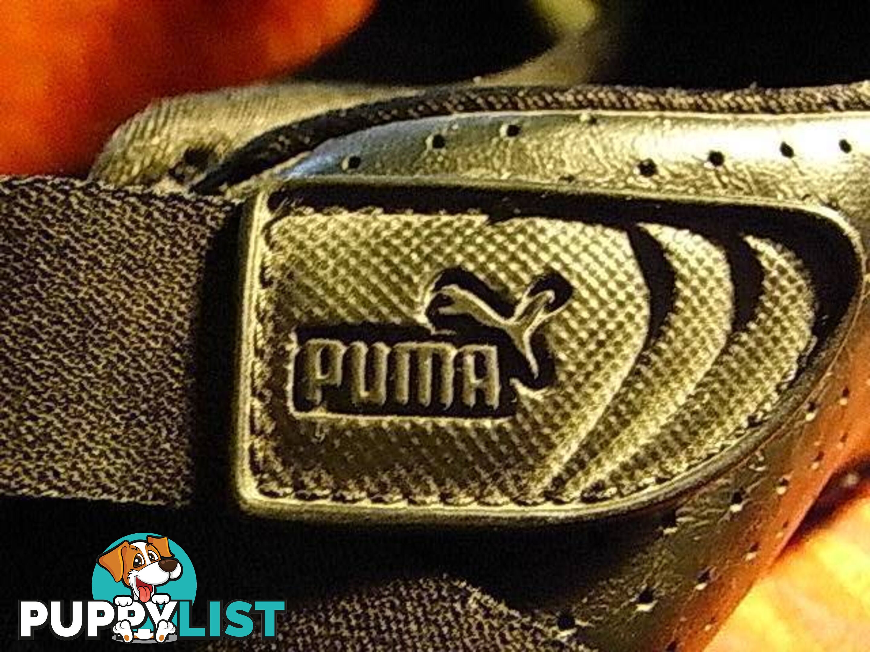 NEW PUMA LEATHER BRAND NEW SIZE 10 US pickup clayton 3168