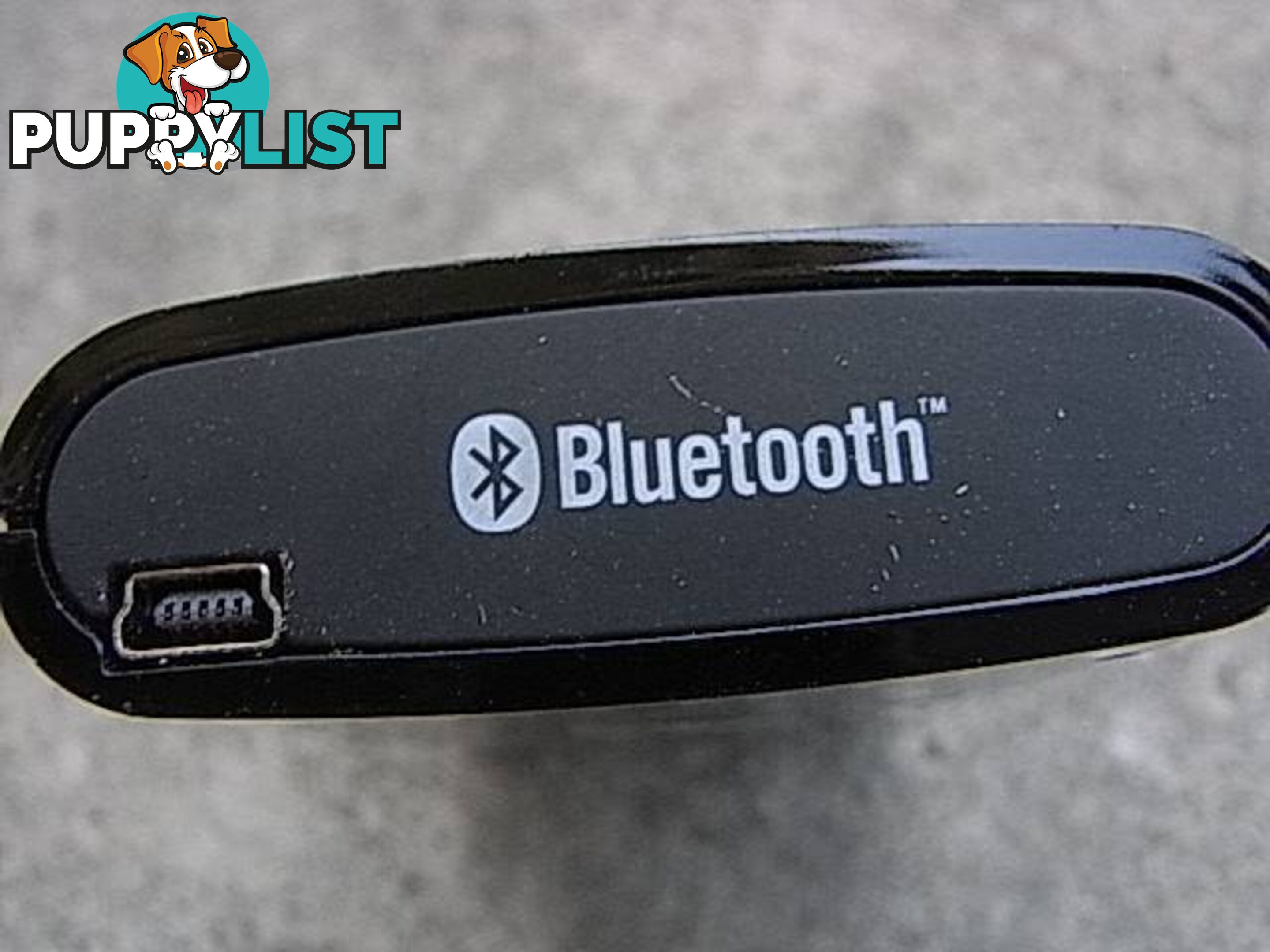 BLUEANT Bluetooth TEXT TO SPEACH SYSTEM PICKUP OR POSTAGE 4.99