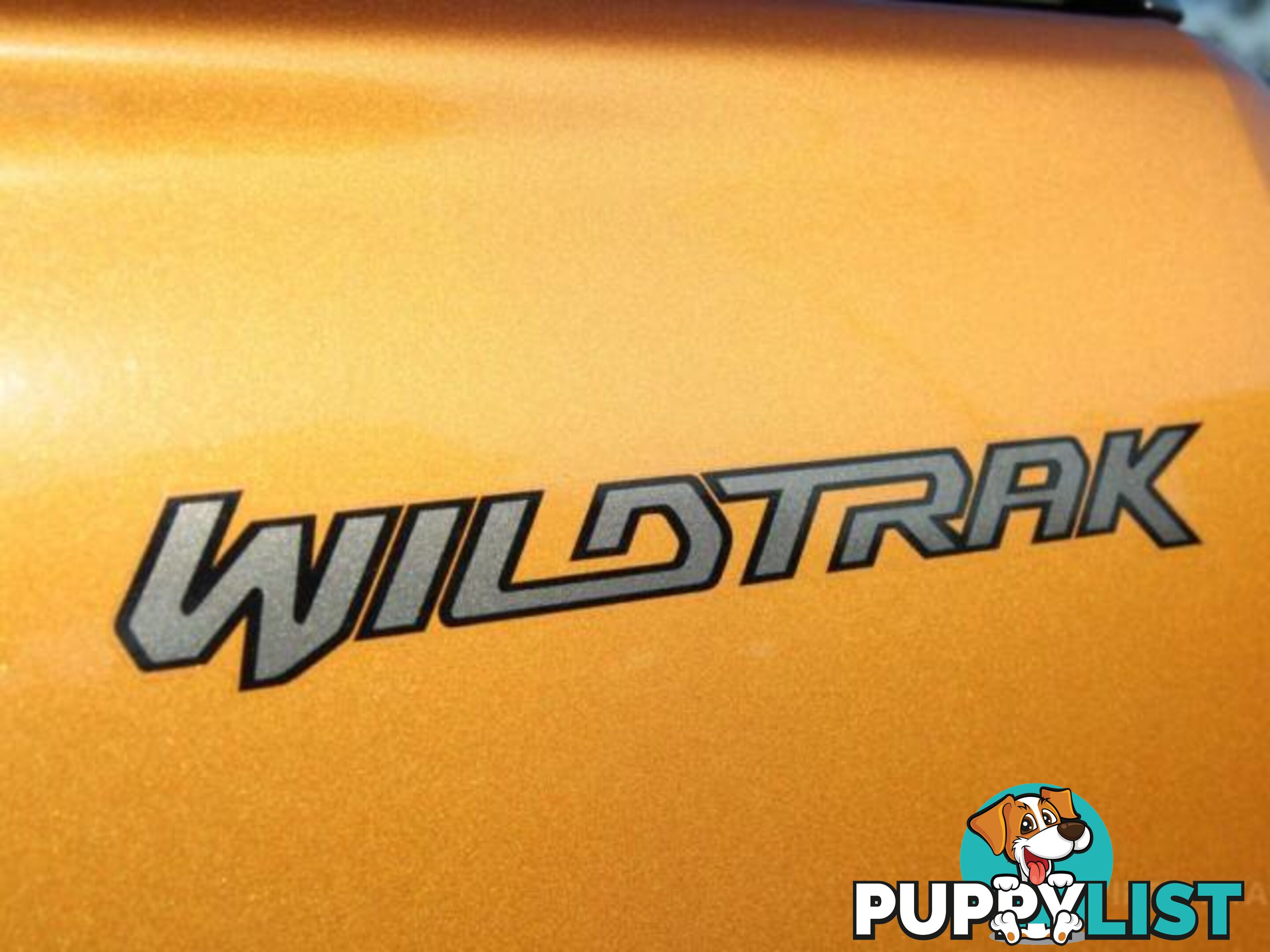 2020 FORD RANGER WILDTRAK  3.2 (4X4) PX MKIII MY20.25  OTHER