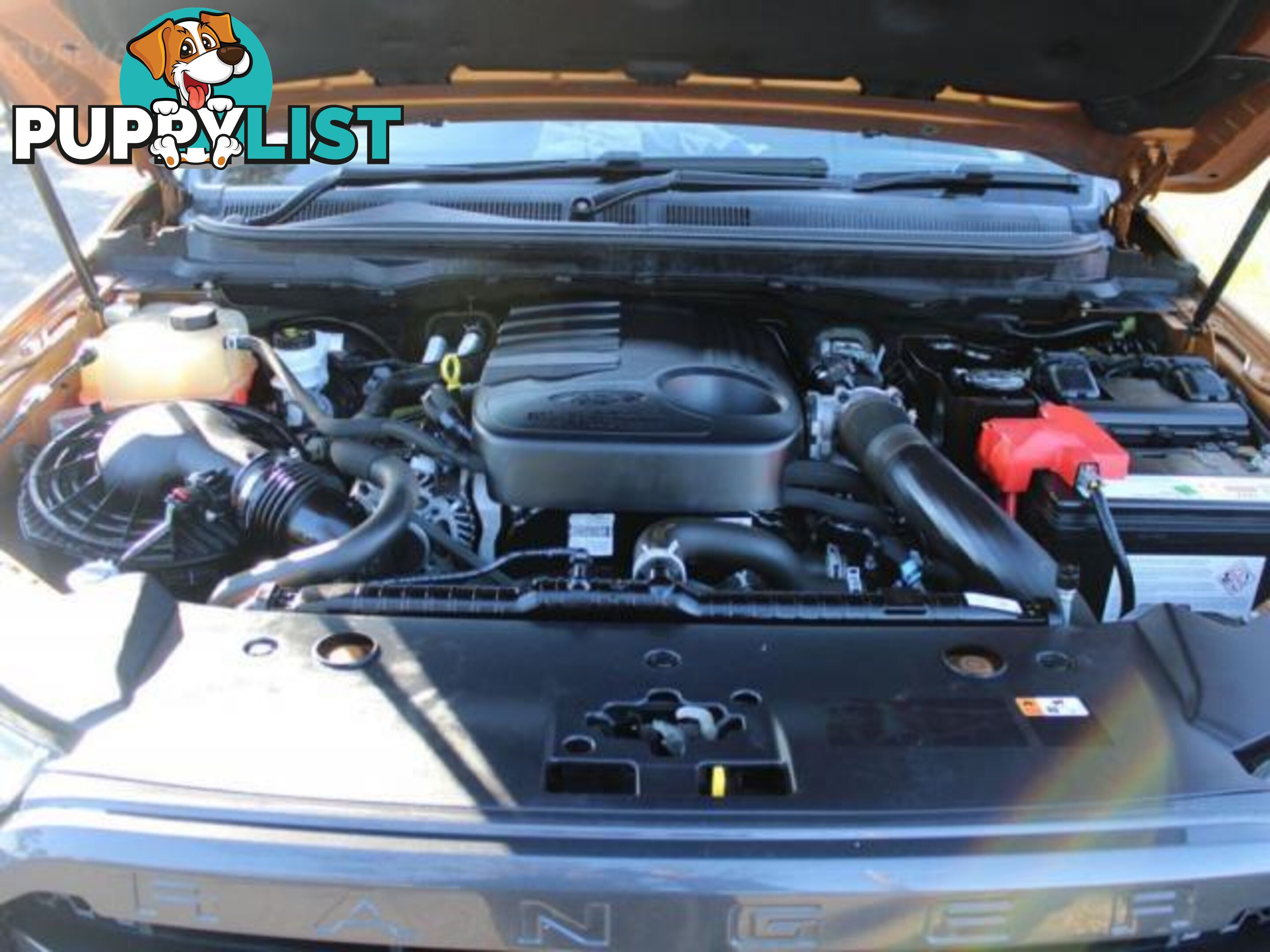 2020 FORD RANGER WILDTRAK  3.2 (4X4) PX MKIII MY20.25  OTHER