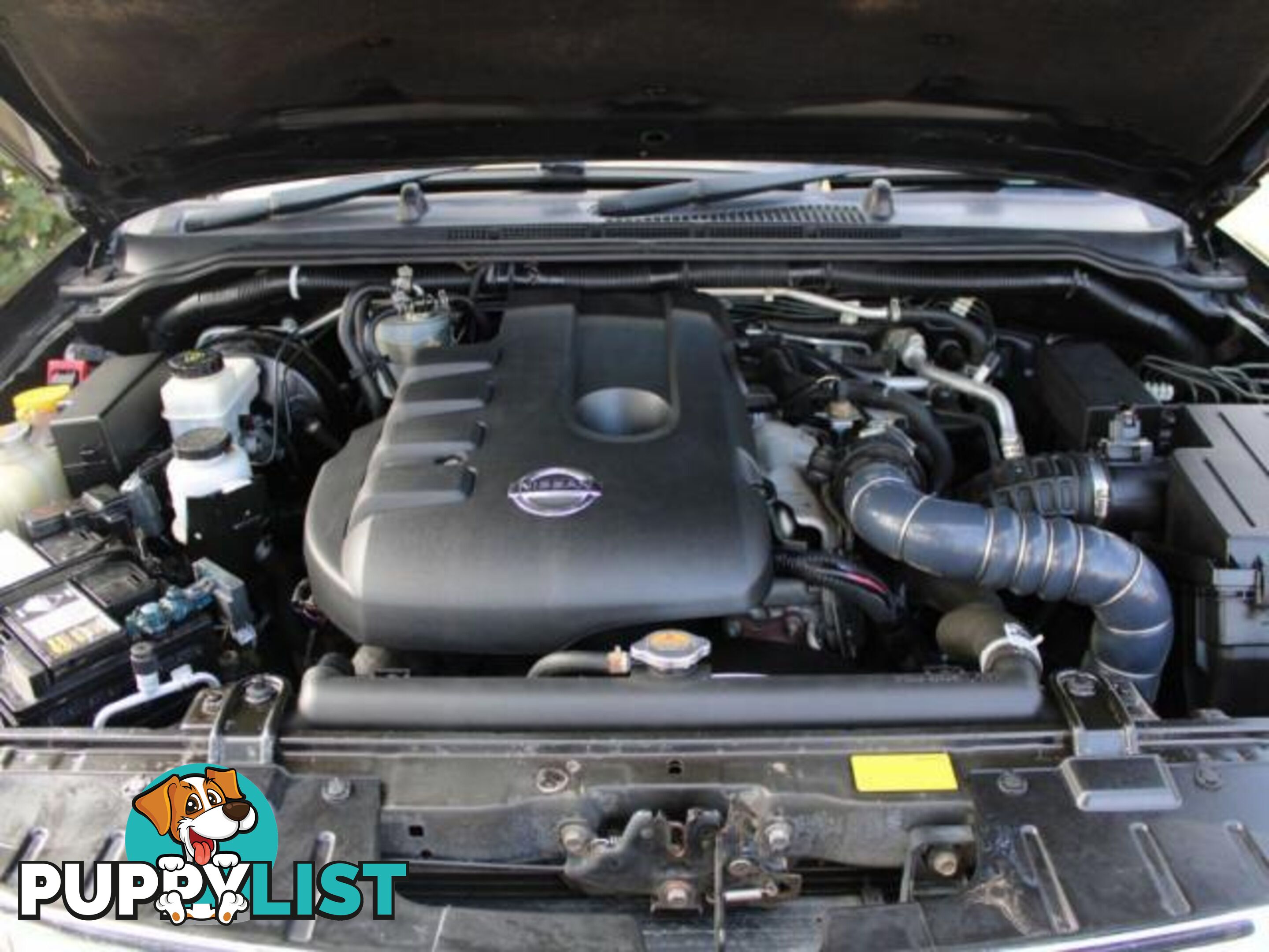 2012 NISSAN NAVARA ST (4X2) D40 MY12  DUAL CAB