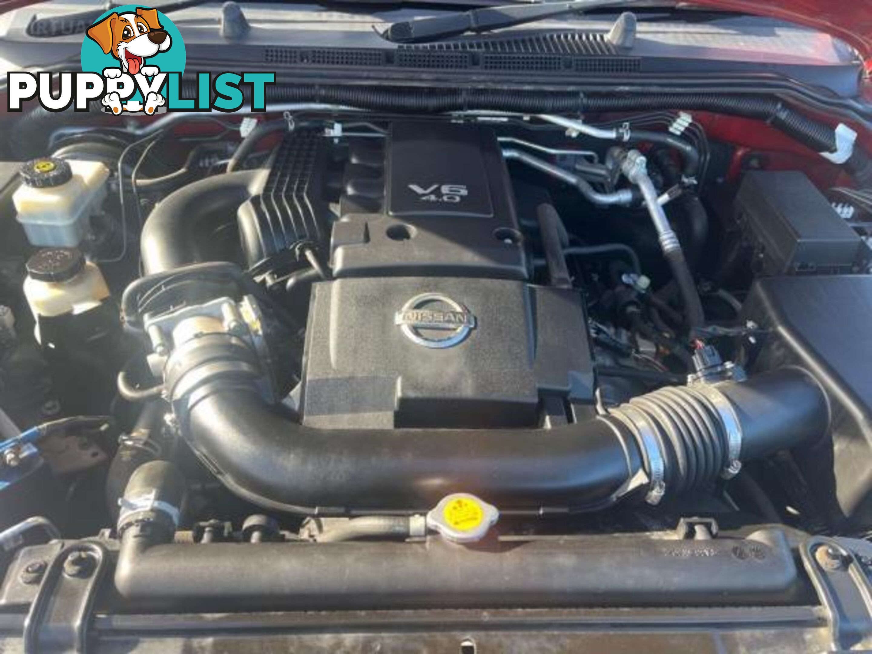 2008 NISSAN NAVARA ST-X (4X4) D40  DUAL CAB