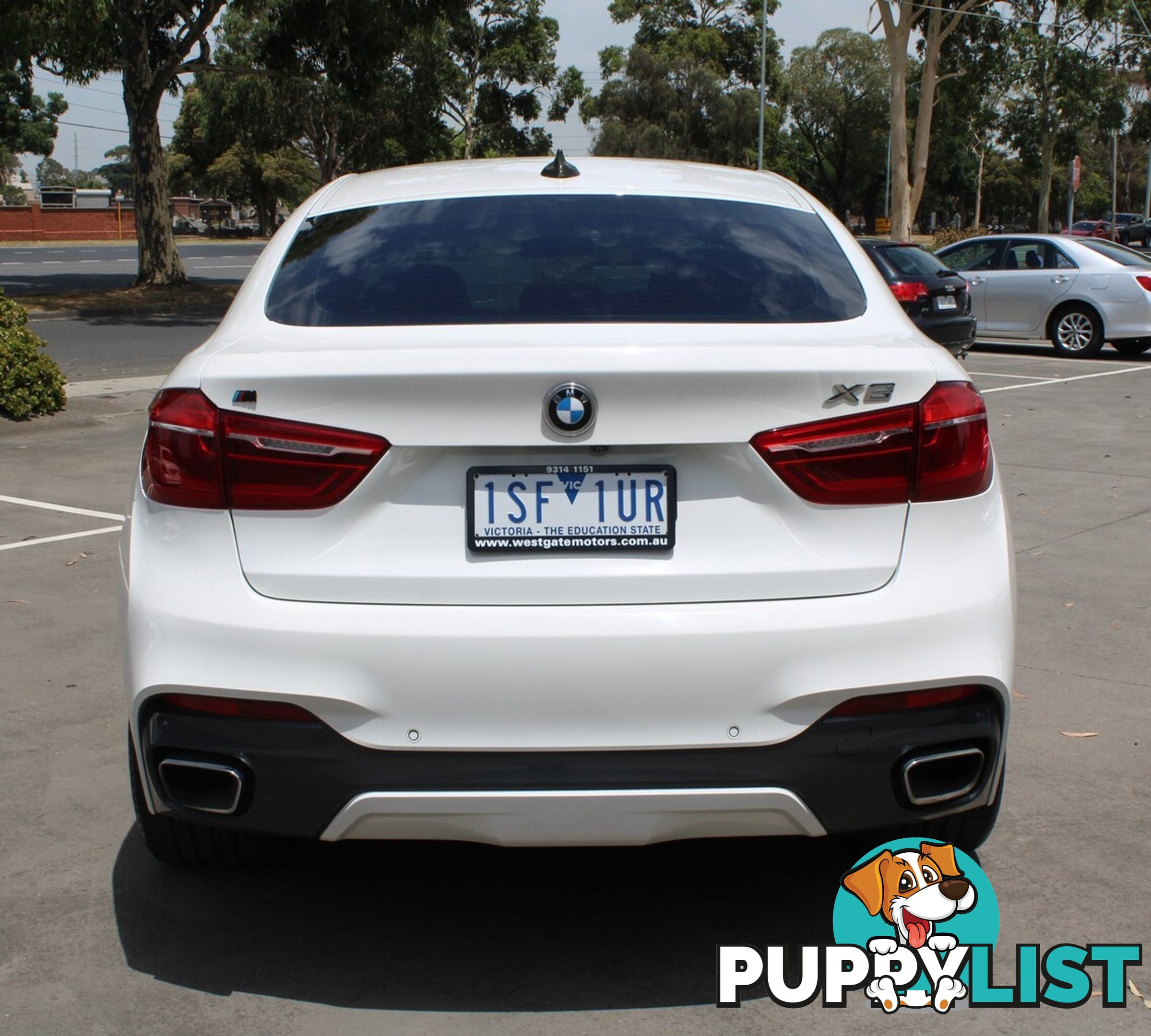 2016 BMW X6 F16  COUPE