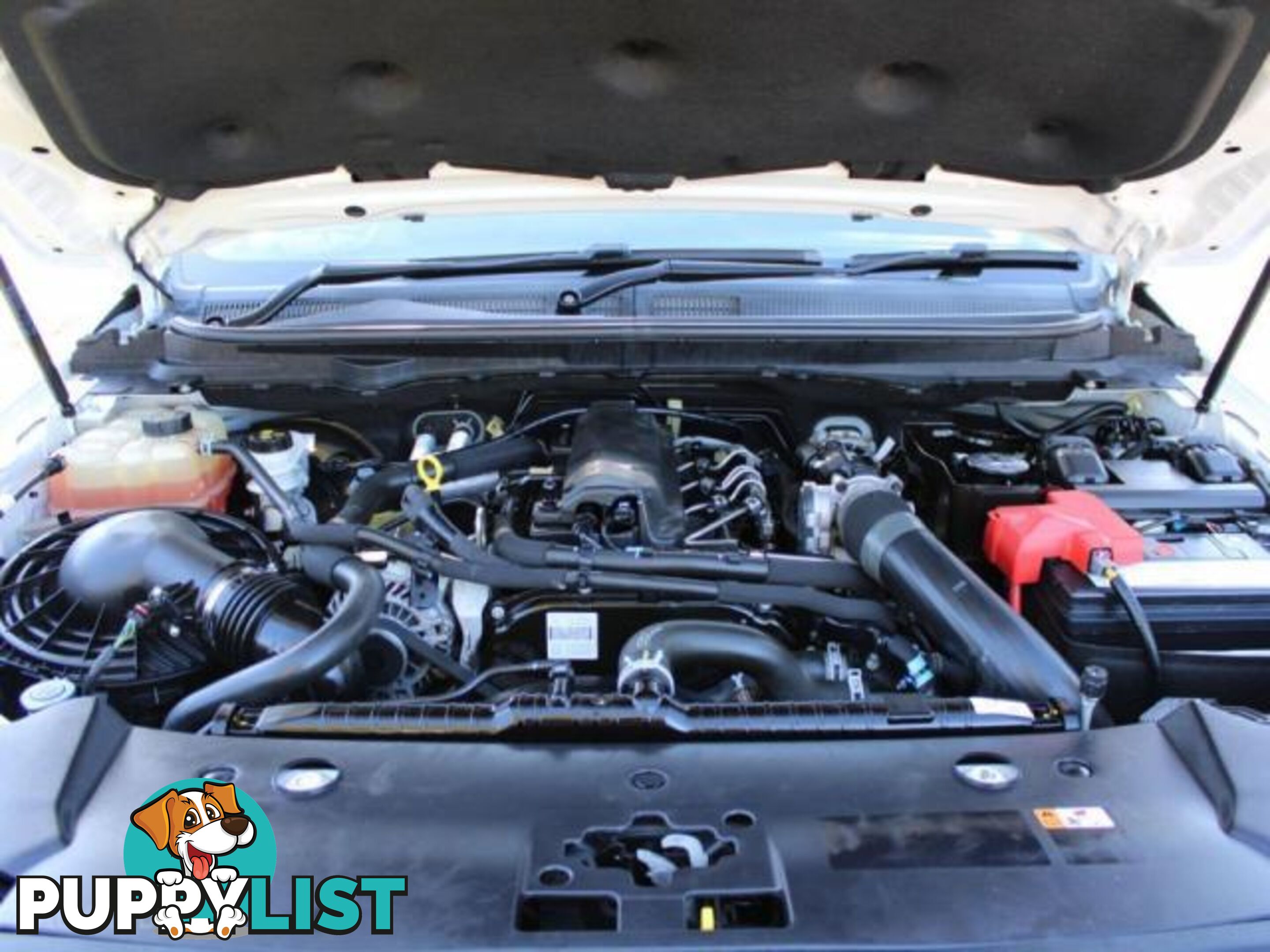 2019 FORD RANGER XL 3.2 (4X4) PX MKIII MY19  OTHER