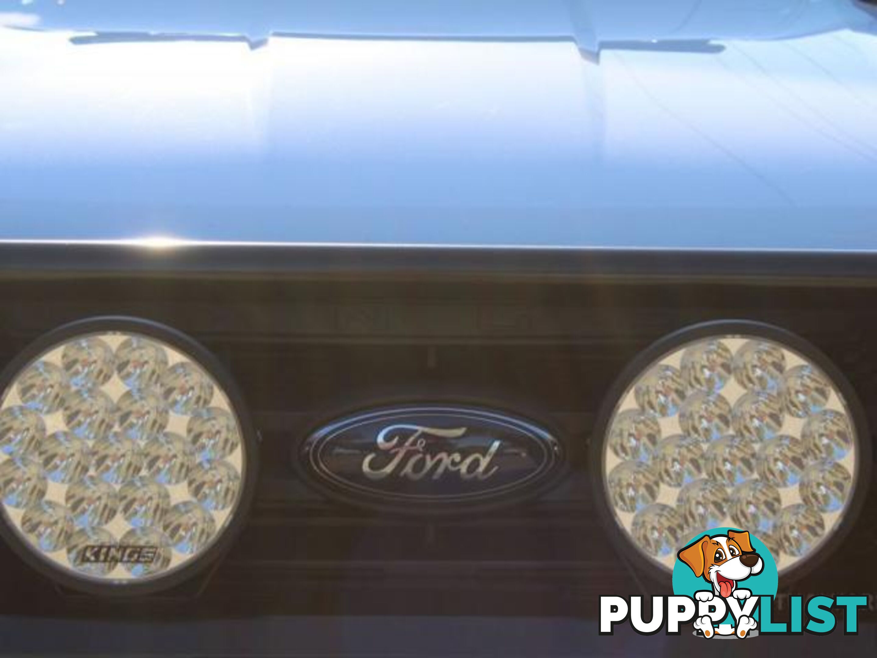 2019 FORD RANGER XL 3.2 (4X4) PX MKIII MY19  OTHER