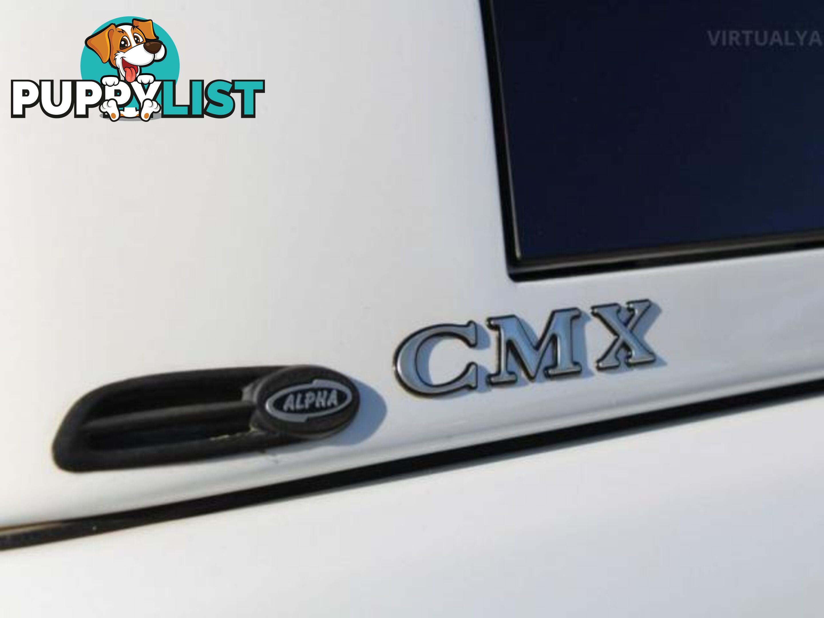 2019 FORD RANGER XL 3.2 (4X4) PX MKIII MY19  OTHER