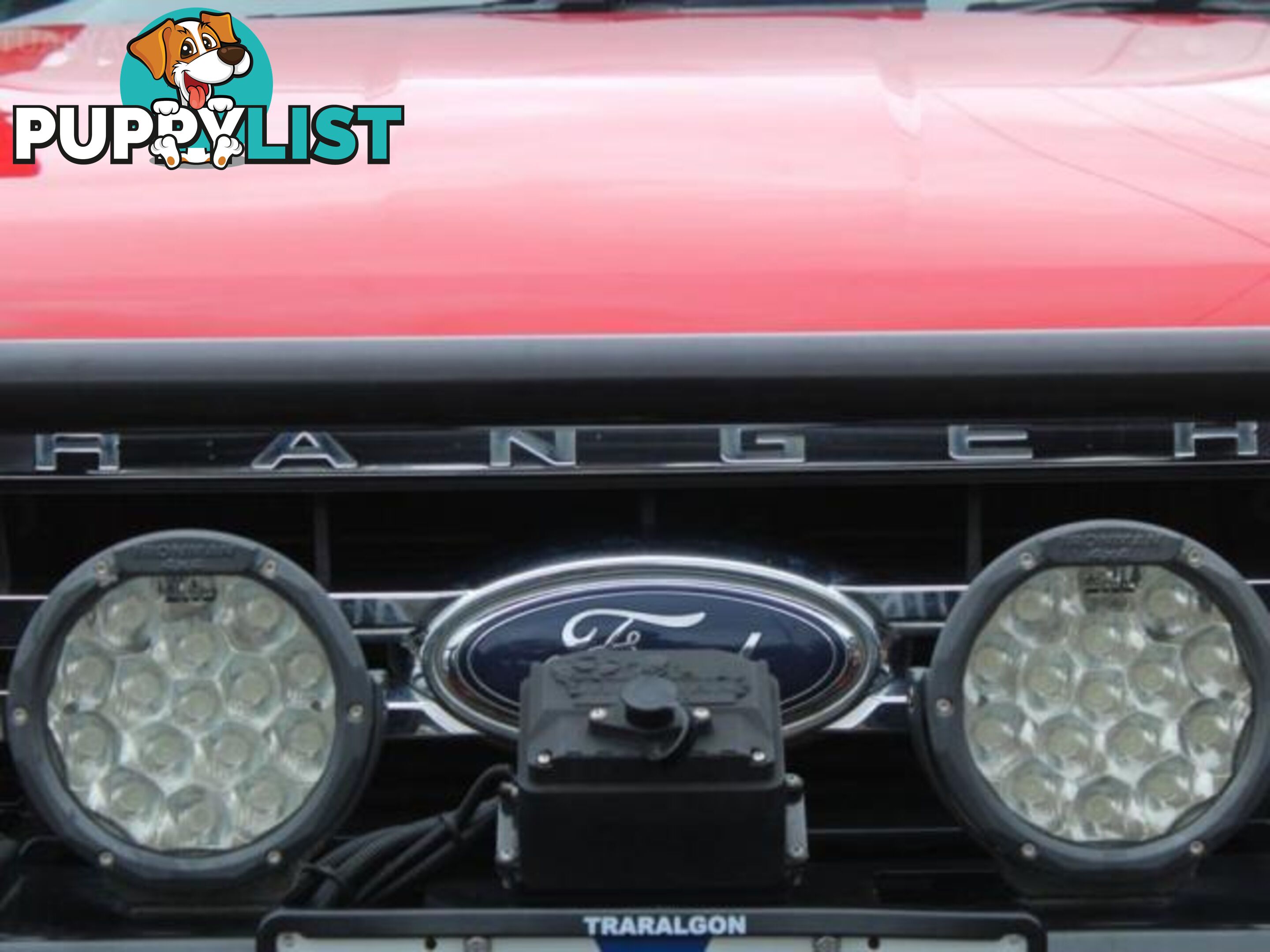 2019 FORD RANGER XLT 3.2 (4X4) PX MKIII MY19  OTHER