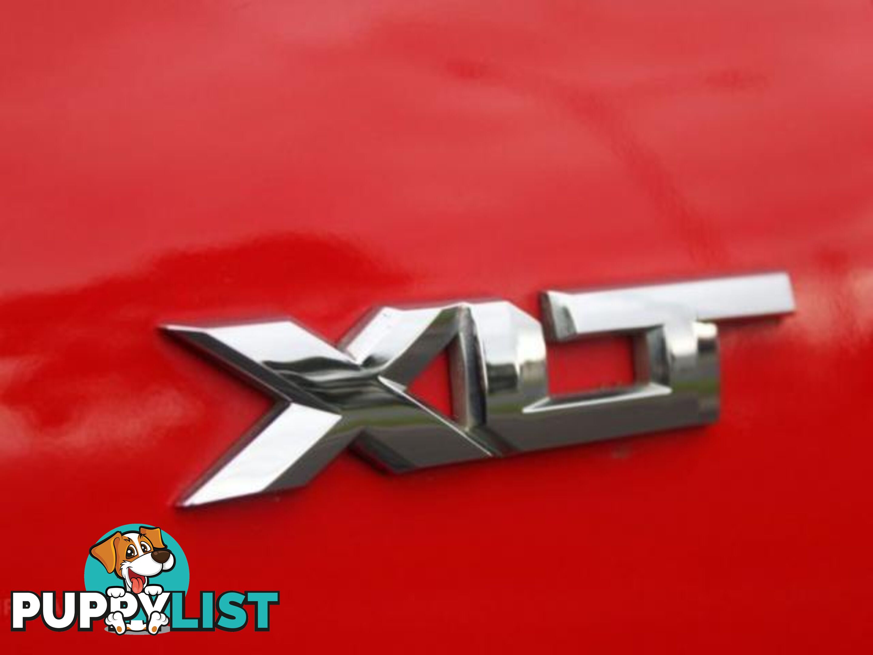 2019 FORD RANGER XLT 3.2 (4X4) PX MKIII MY19  OTHER